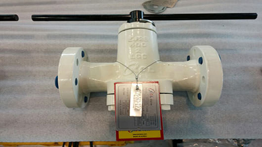 plug-valve-1